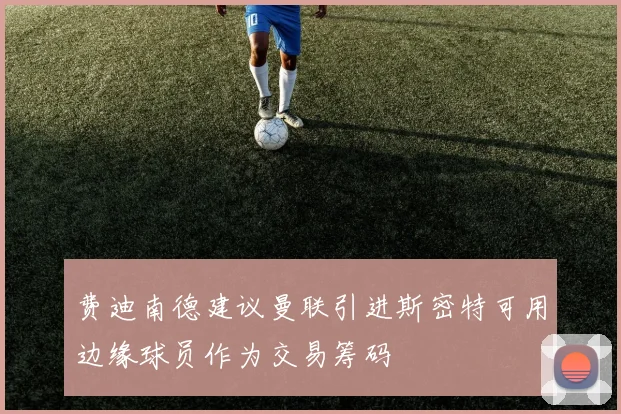 费迪南德建议曼联引进斯密特可用边缘球员作为交易筹码